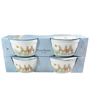 NEW Beatrix Potter PETER RABBIT EASTER/SPRING  RAMEKINS SET/4
